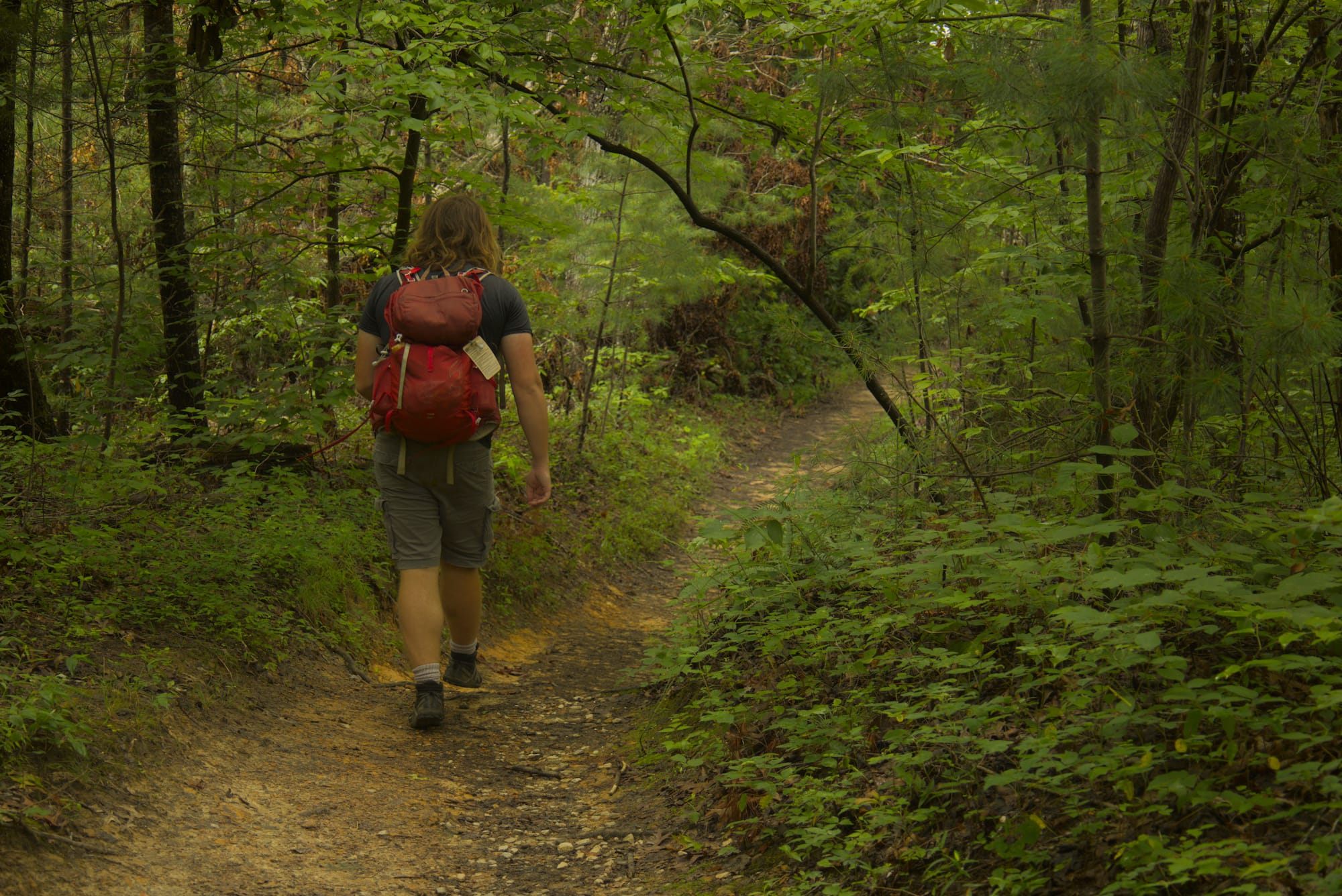07.17 Day Hike