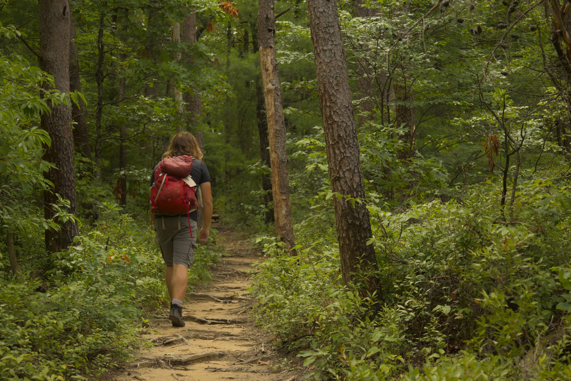 07.17 Day Hike
