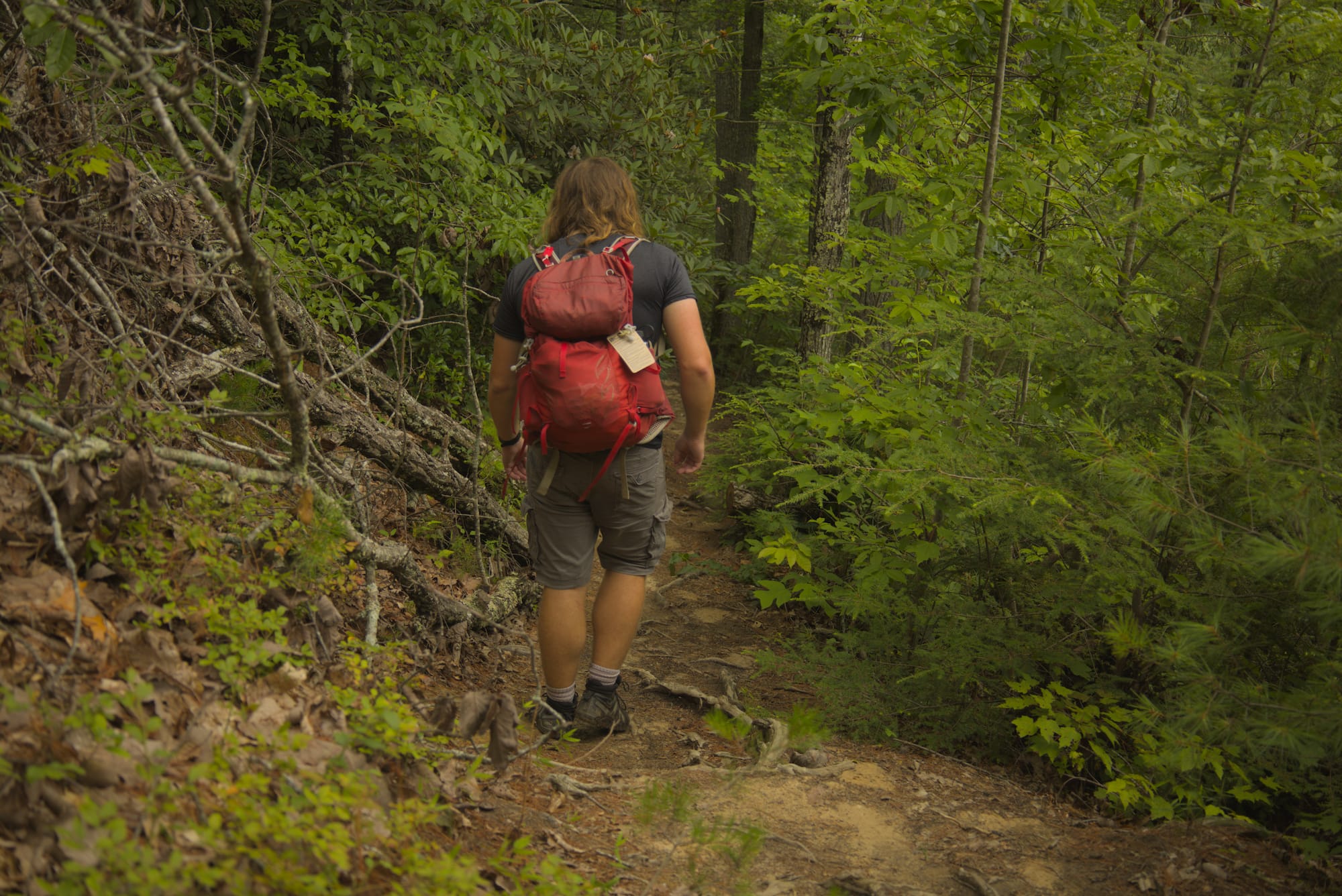 07.17 Day Hike